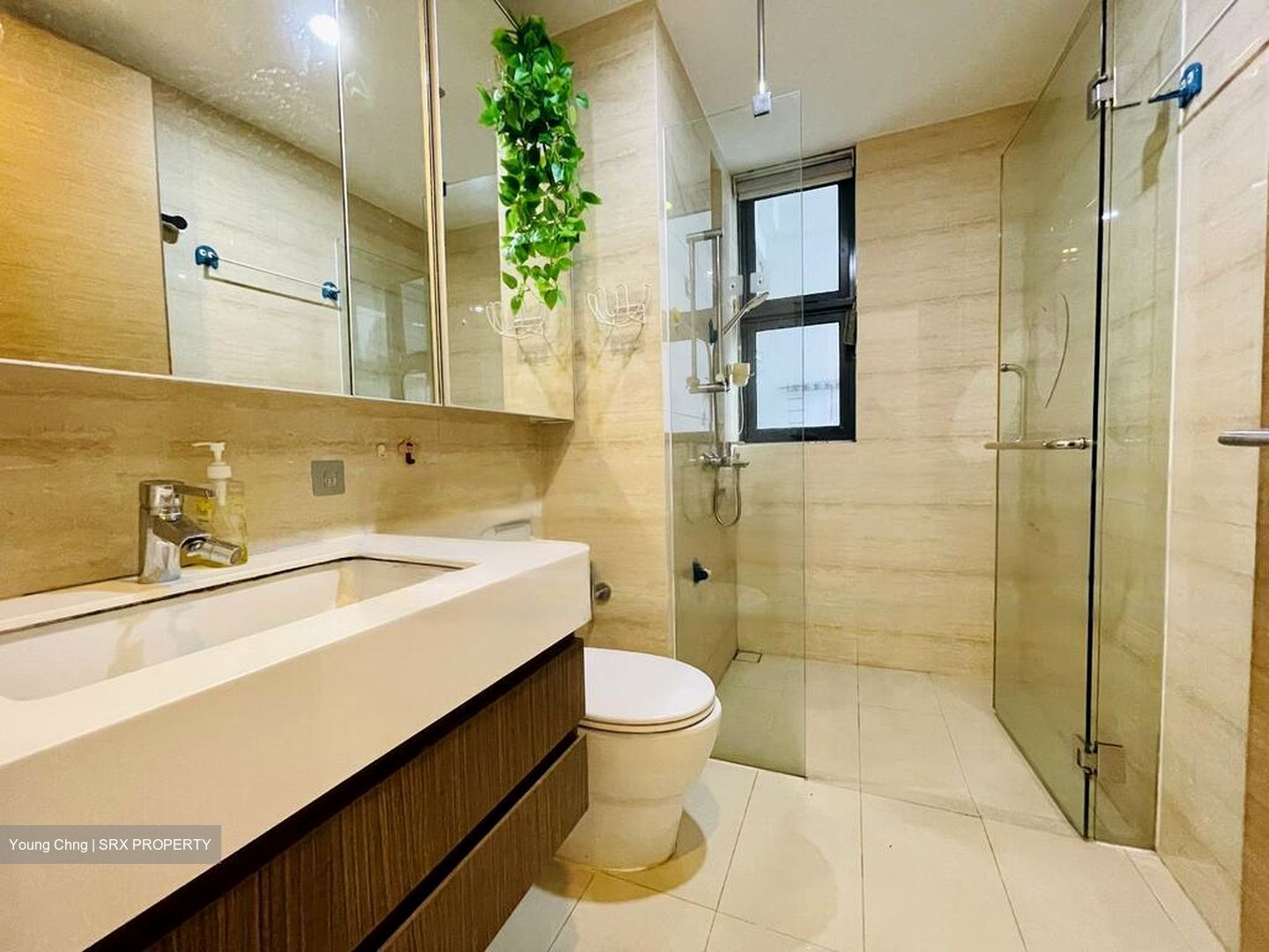 The Palette (D18), Condominium #538057651